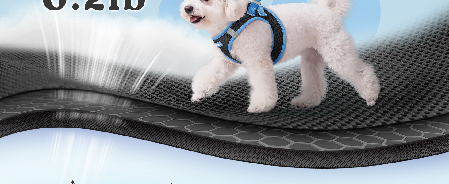  rabbitgoo Dog Harness