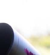 Top of a Dayton Audio outdoor landscape speaker set in a garden