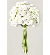 Waipfaru Ranunculus Artificial Flowers, 18Pcs 14In Fake Peonies Artificial Flowers, White Faux Fl...