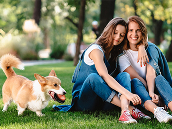 Dog Buttons for Communication