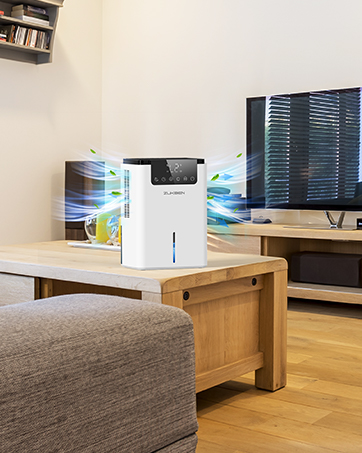 dehumidifier for living room