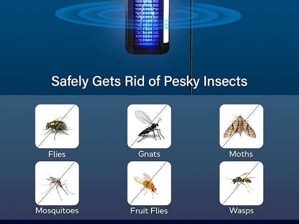 safely gets rid of pesky insects