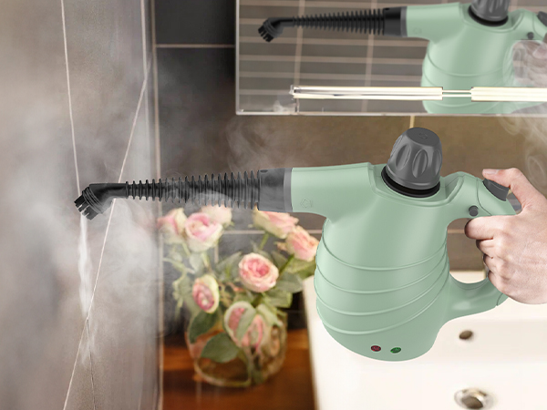 steam cleaner handheld