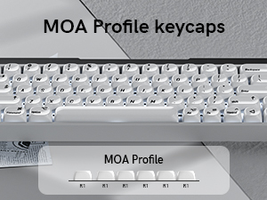 White PBT Keycap Set,Glossy Custom Keycaps Ceramic Style, Dye Sublimation 131-key,MOA Profile Keycap