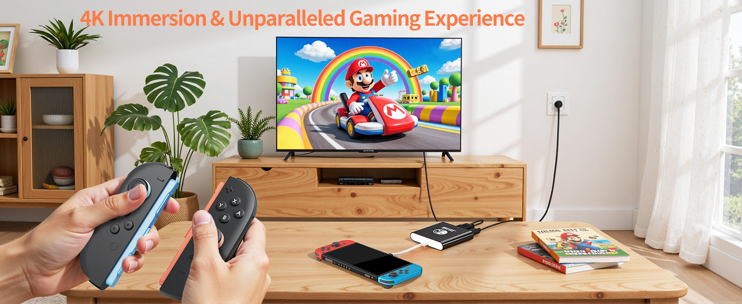 Switch Docking Station