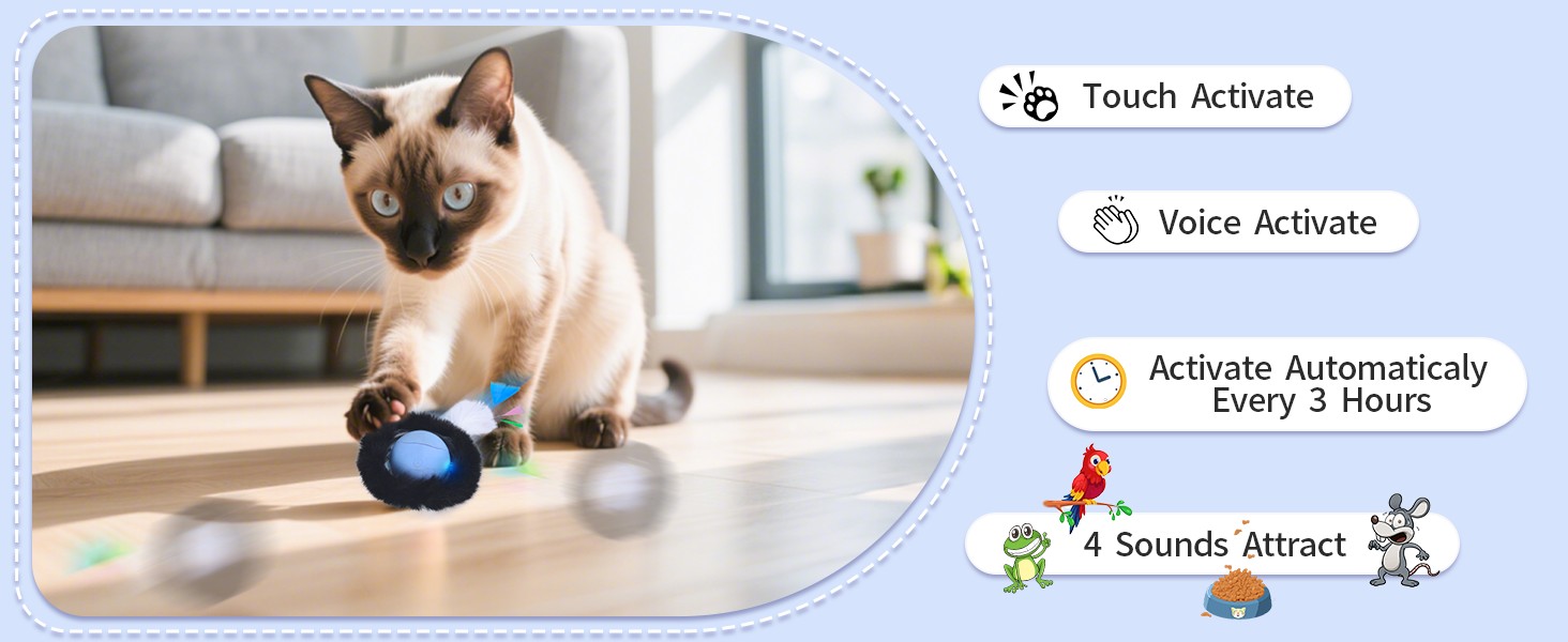 cat toy ball