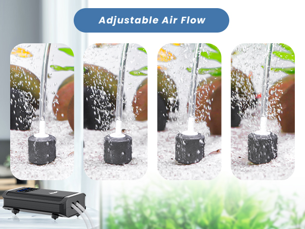 emergency backup air pump