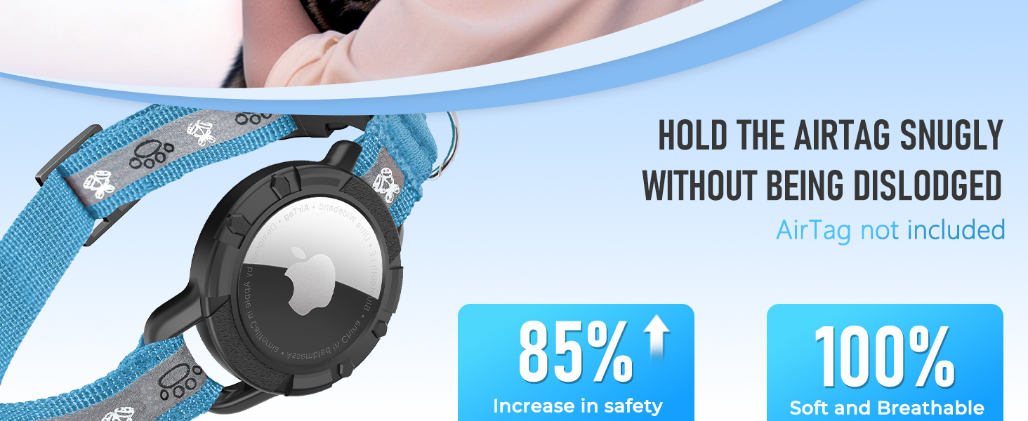 cat collar airtag