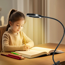 magnifier with light