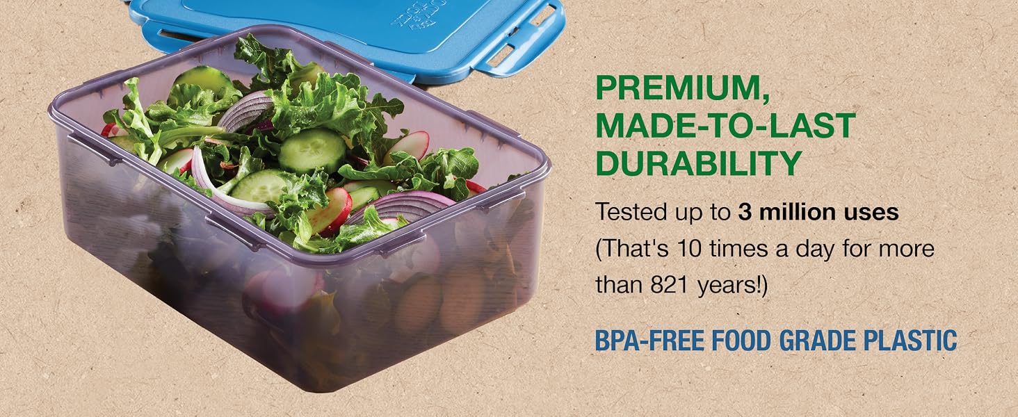 open locknlock container with salad inside