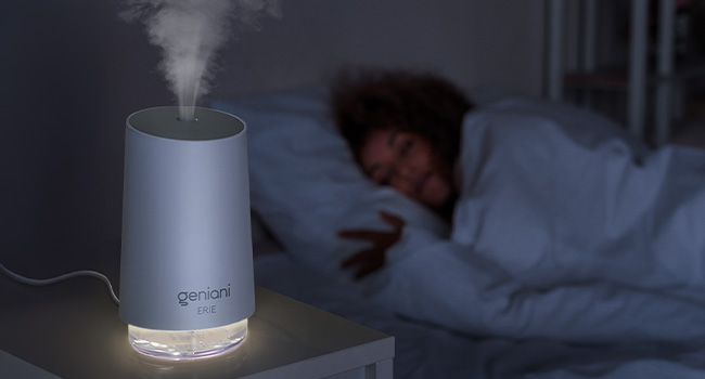 Portable Small Cool Mist Humidifiers 250ML - USB Desktop Humidifier for Plants,