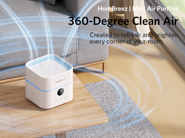 air purifier and humidifier combo