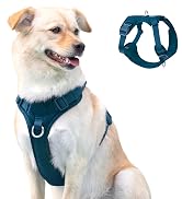 Elevate your dogs style with our Prussian Blue harness, featuring a sophisticated deep blue shade