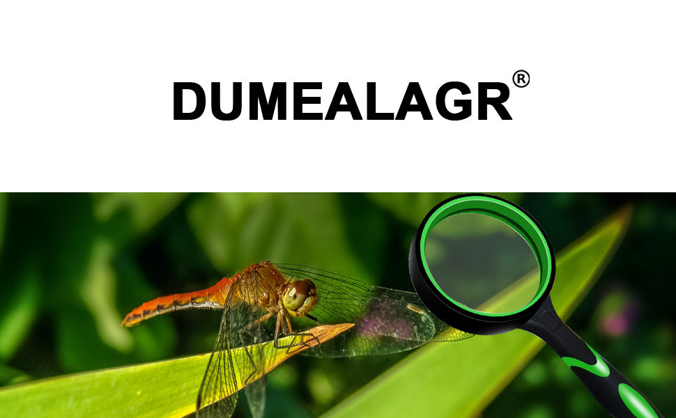 Magnifying Glass 001