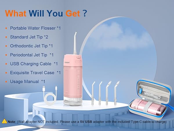 portable mini water flosser with exquisite travel case