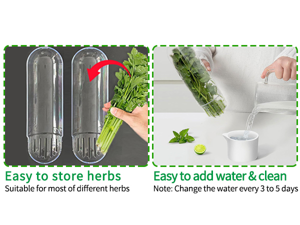 cilantro keeper for refrigerator