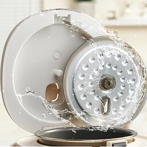 mini rice cooker