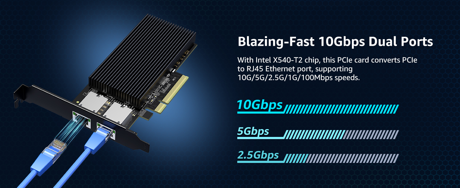 10g network card dual port nic