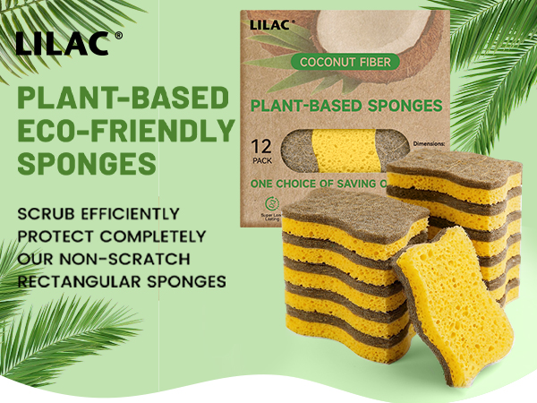 kitchen sponges