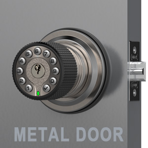 metal door for iu30 stain nickel