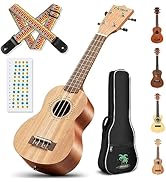 CAHAYA 21 Inch Ukulele Mahogany Beginner Kit Soprano Ukelele with Gig Bag Rainbow Strap Fretboard...