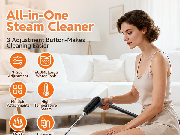 steam cleaner