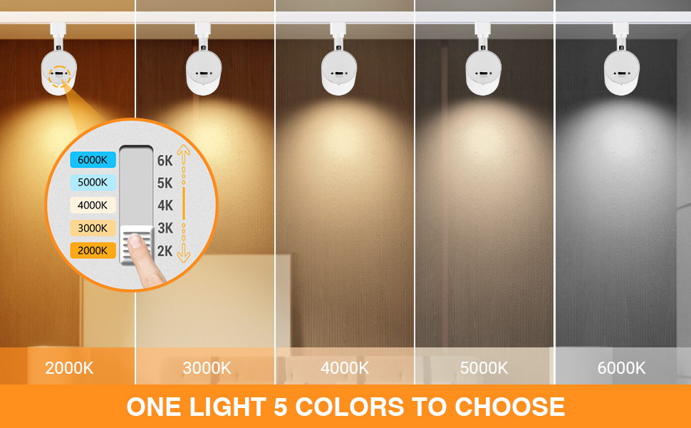 5 color track light heads
