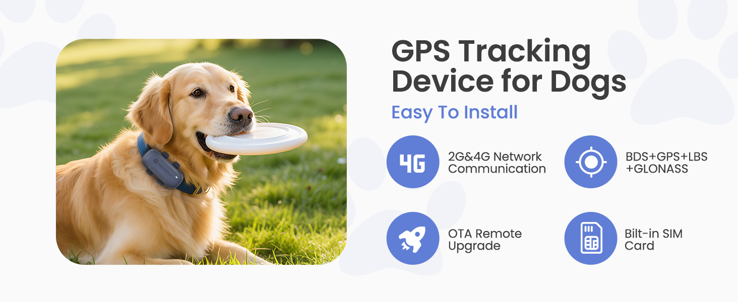 pet tracker for cats