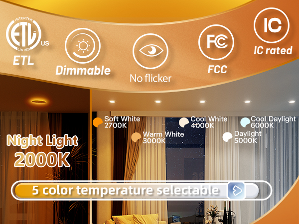 flat can light