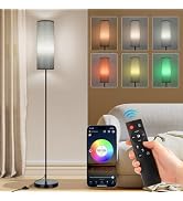 FRIDEKO HOME Floor Lamp, 9W 800LM Smart Bulb, Tall Corner Lamp, Gray Shade | Music Sync Light, Ap...