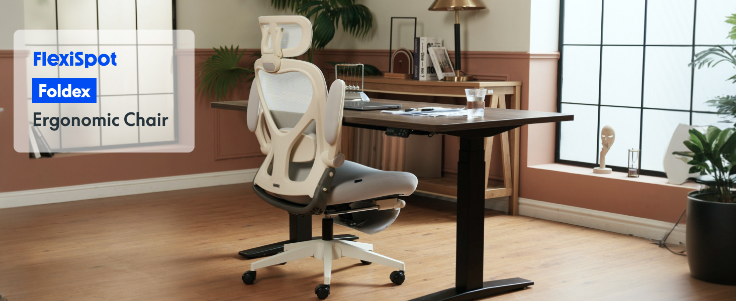 Flexispot office chair