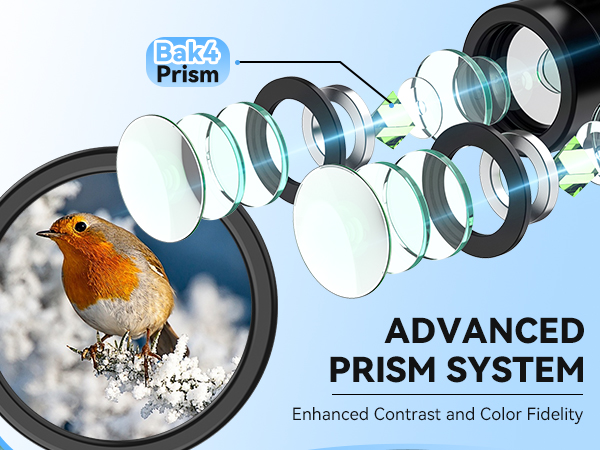 binoculars for adults high powered