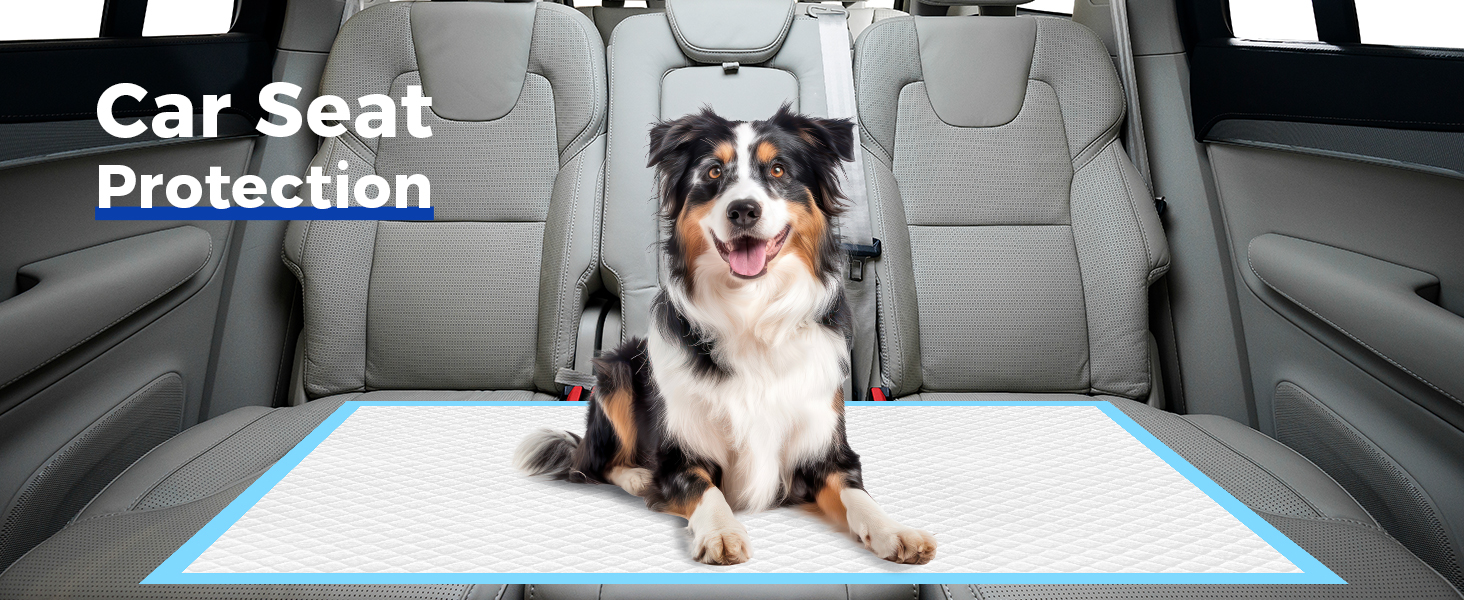 car seat protection
