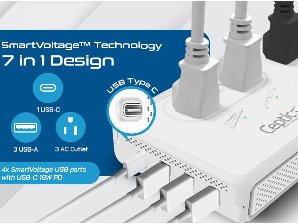 ceptics travel converter