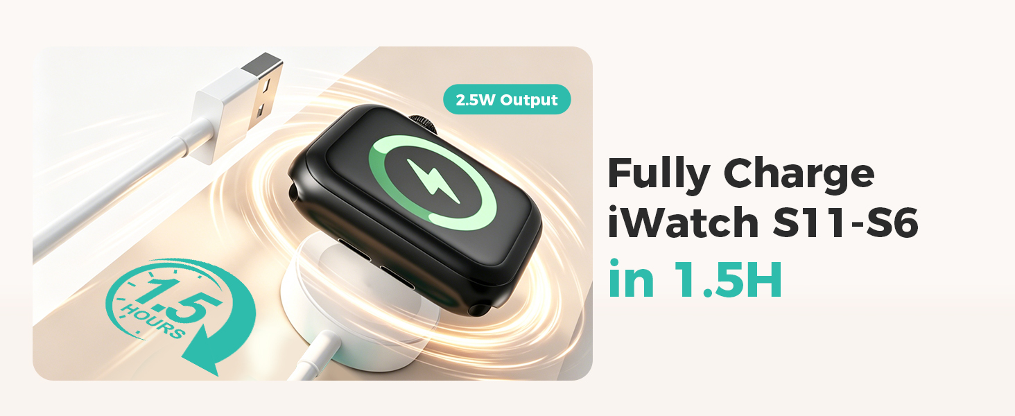Watch Charger