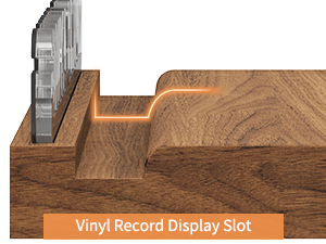 Vinyl Record Display Slot
