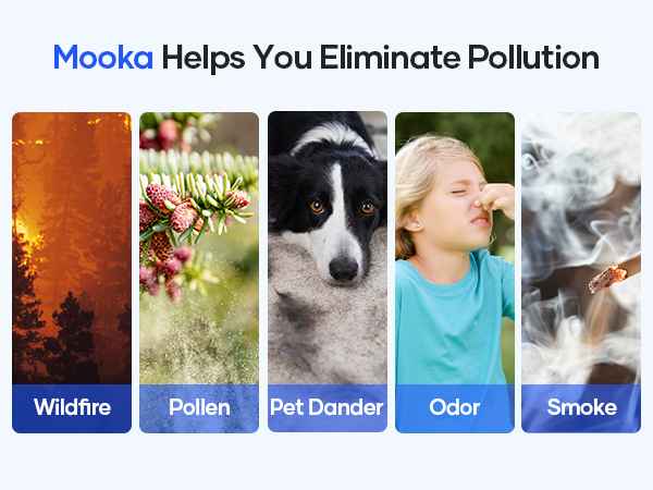 air purifiers for home