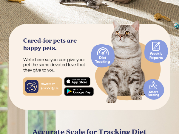 2.1_PPF-R361S-WUS_White_US_2_Mobile