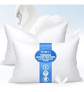 zibroges Feather Pillows Queen Size Set of 2 - Goose Down Hotel Bed Pillow for Sleeping, Soft 600...