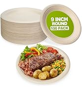 W&amp;Y 100 Pack 9 Inch Paper Plates, Heavy-Duty Dinner Plates, Cut Resistant &amp; 100% Compostable Disp...