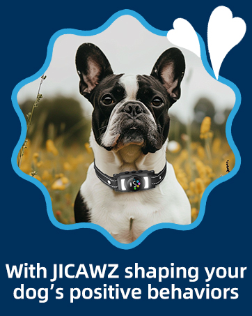 bark collar