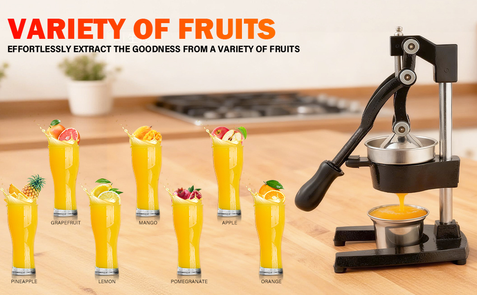 manual juicer