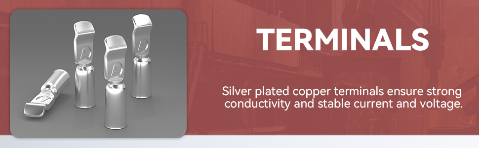 Battery Quick Connect/Disconnect