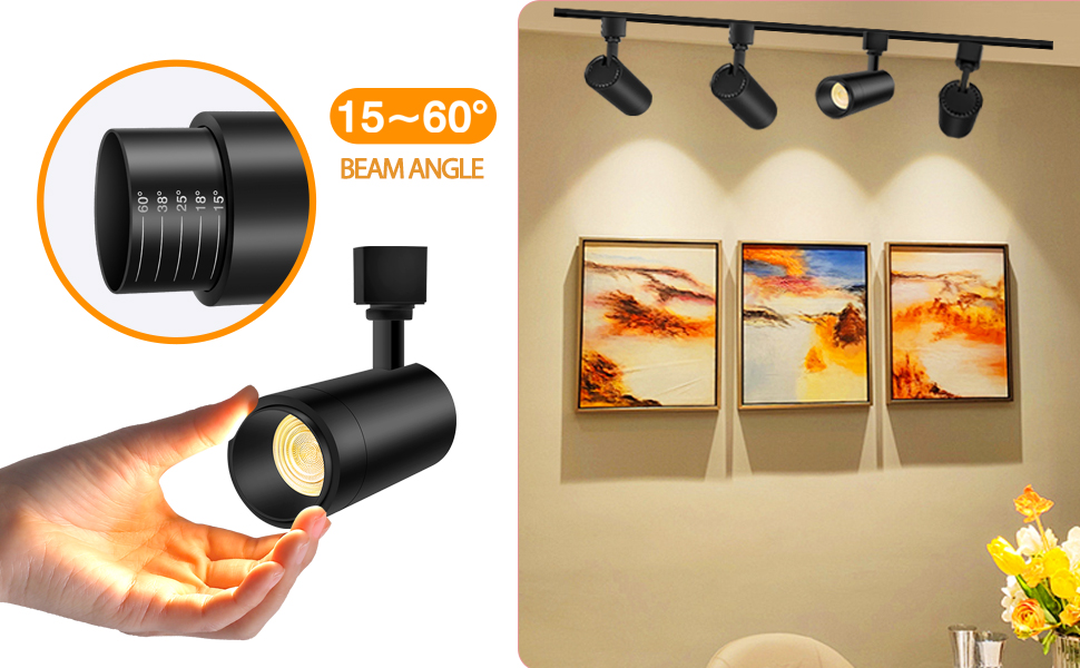 zoomable track lighting heads