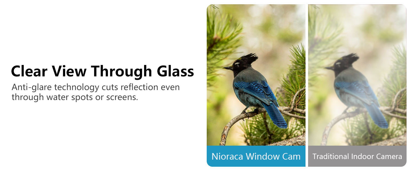Anti-glare Technology