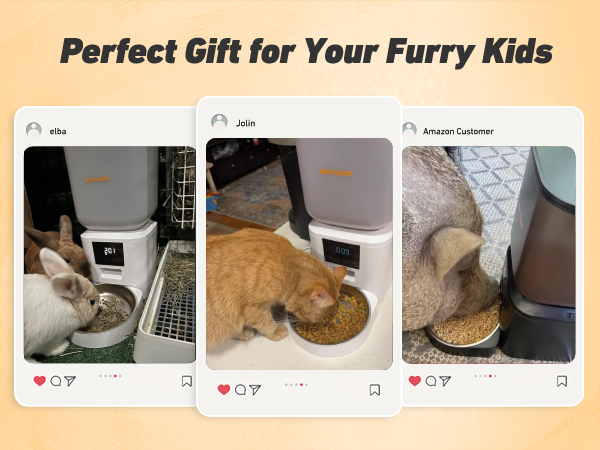 automatic cat feeder cat food dispenser automatic dog feeder pet feeder