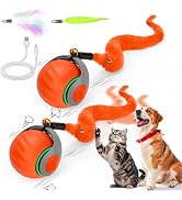 2PCS Interactive Cat Toy Ball, Rechargeable Cat Toys for Indoor Cats | with Feather Tails for Kit...