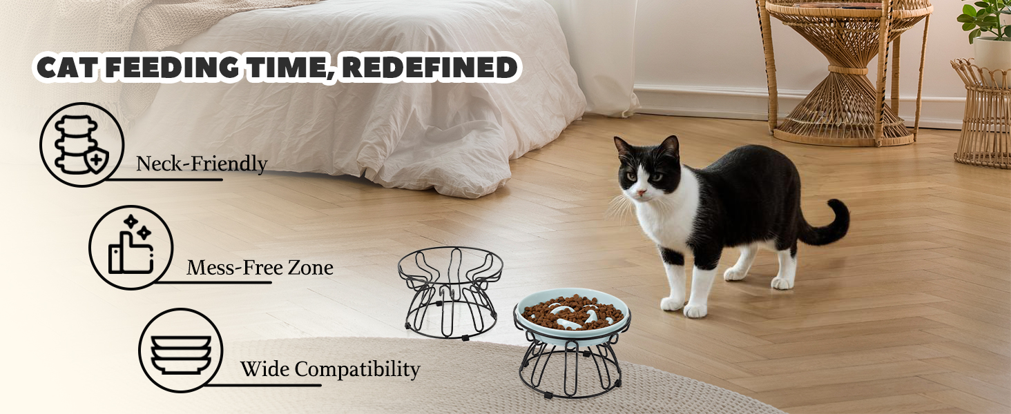cat elevated feeding bowl