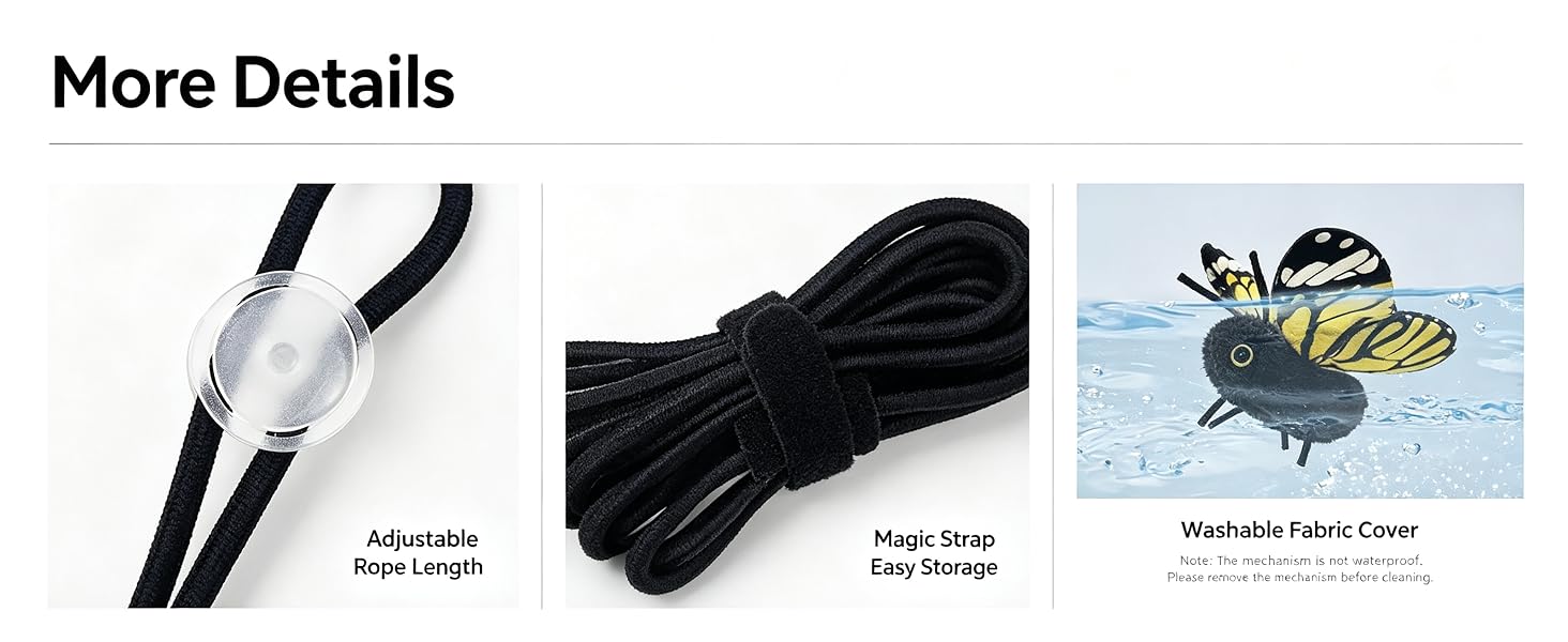 cat toys