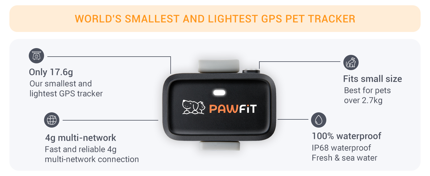 pawfit